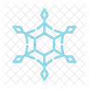 Winter Holiday Christmas Icon