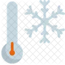 Snowflake Temperature Thermometer Icon
