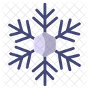 Snowflakes Snow Winter Icon