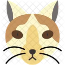 Snowshoe Cat White Paws Blue Eyes Icon