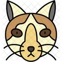 Snowshoe Cat White Paws Blue Eyes Icon