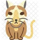 Snowshoe Cat White Paws Blue Eyes Icon