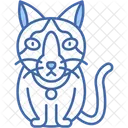 Snowshoe Cat White Paws Blue Eyes Icon