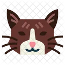 Snowshoe Cat  Icon