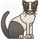 Snowshoe  Icon