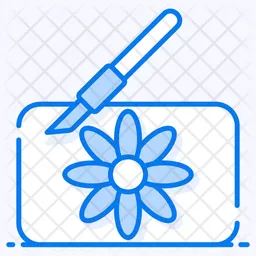 Soap Carving  Icon