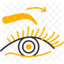 Sobrancelhas Cirurgia Plastica Aumento De Sobrancelhas Ícone