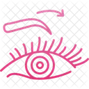 Sobrancelhas Cirurgia Plastica Aumento De Sobrancelhas Ícone