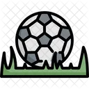 Soccer Ball Grass Icon