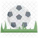 Soccer Ball Grass Icon