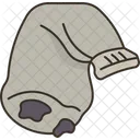 Sock Holey Old Icon