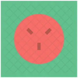 Socket  Icon