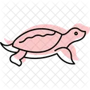 Softshell Turtle Icon