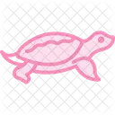 Softshell Turtle Icon