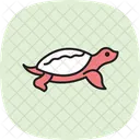 Softshell Turtle Softshellturtle Reptile Icon