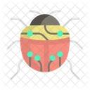 Software Bug  Icon