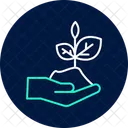 Soil In Hand Soil Hand Icon