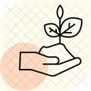 Soil In Hand Soil Hand Icon