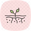 Soil With Roots Soil Roots Icon
