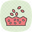 Soil With Seeds Soil Seeds Icon