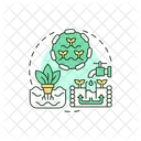 Soilless cultivation  Icon