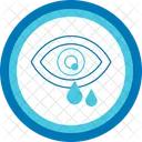 Oeil Pollen Allergie Vision Optique Vue Oculaire Globe Oculaire Vue Vue Soins Oculaires Icône
