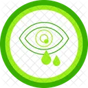 Oeil Pollen Allergie Vision Optique Vue Oculaire Globe Oculaire Vue Vue Soins Oculaires Icône