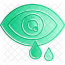 Oeil Pollen Allergie Vision Optique Vue Oculaire Globe Oculaire Vue Vue Soins Oculaires Icône