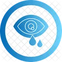 Oeil Pollen Allergie Vision Optique Vue Oculaire Globe Oculaire Vue Vue Soins Oculaires Icône