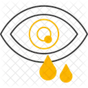 Oeil Pollen Allergie Vision Optique Vue Oculaire Globe Oculaire Vue Vue Soins Oculaires Icône