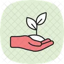 Soins Des Plantes Succulentes Icône