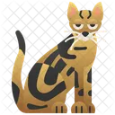 Sokoke  Ícone