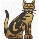Sokoke  Icon