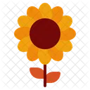 Sol flor  Ícone