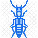 Soldier Beetle Beetle Bug Icon