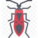 Soldier Beetle Beetle Bug Icon