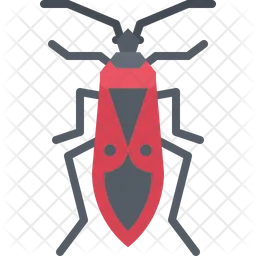 Soldier Beetle  Icon