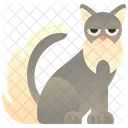 Somali-Katze  Symbol