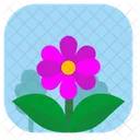 Sommerblume  Symbol