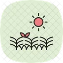 Sonne Uber Feldfruchten Sonne Feldfruchte Symbol