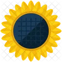 Sonnenblume Symbol