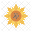 Sonnenblume  Symbol