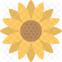 Helianthus Sonnenblume Nutzpflanzen Symbol