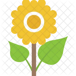 Sonnenblume  Symbol