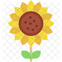 Sonnenblume Sommer Blume Symbol