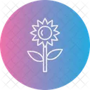 Sonnenblume Blume Natur Icon