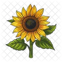 Sonnenblume Symbol