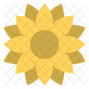 Sonnenblume Blumendesign Dekorative Blume Symbol