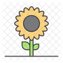 Sonnenblume  Symbol