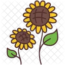 Sonnenblume  Symbol